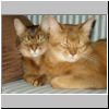 009 Bodie en Floris.jpg
